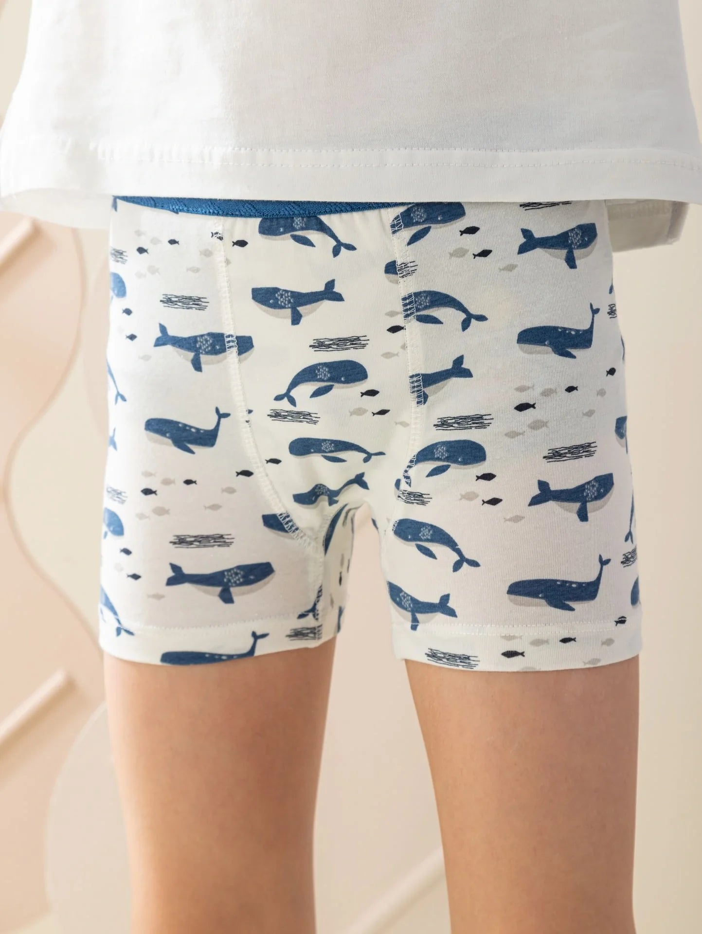 بوكسرات أولادي