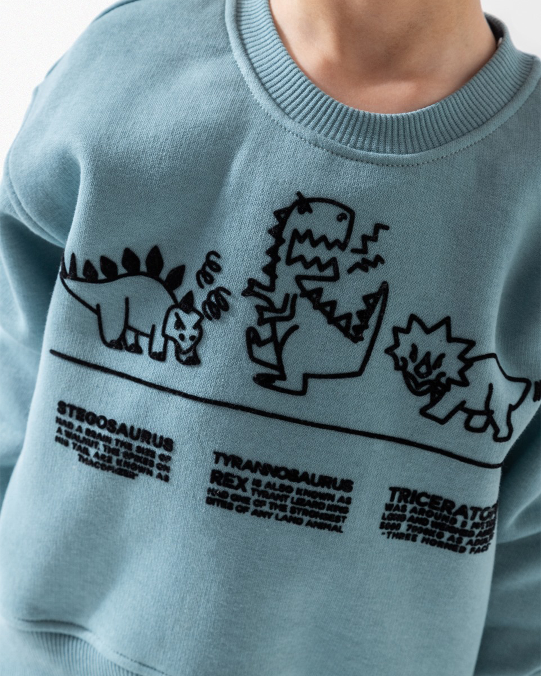 DINOS Boys' Pajamas Medium