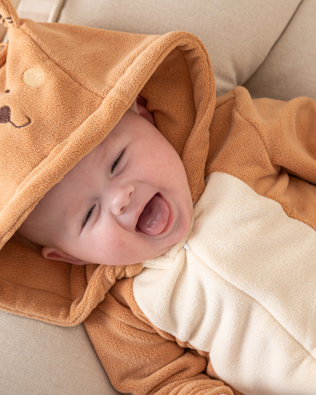 سالوبيت الخروف الصغير