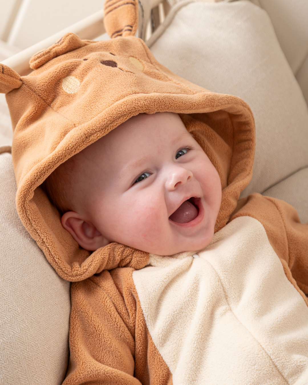 سالوبيت الخروف الصغير