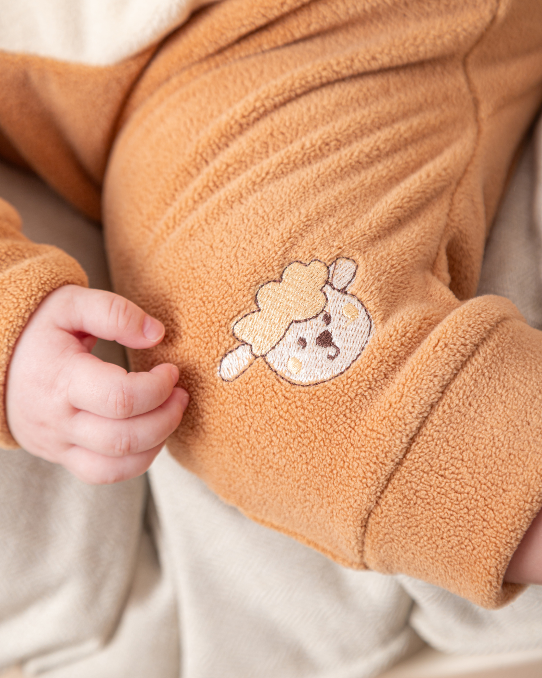 سالوبيت الخروف الصغير