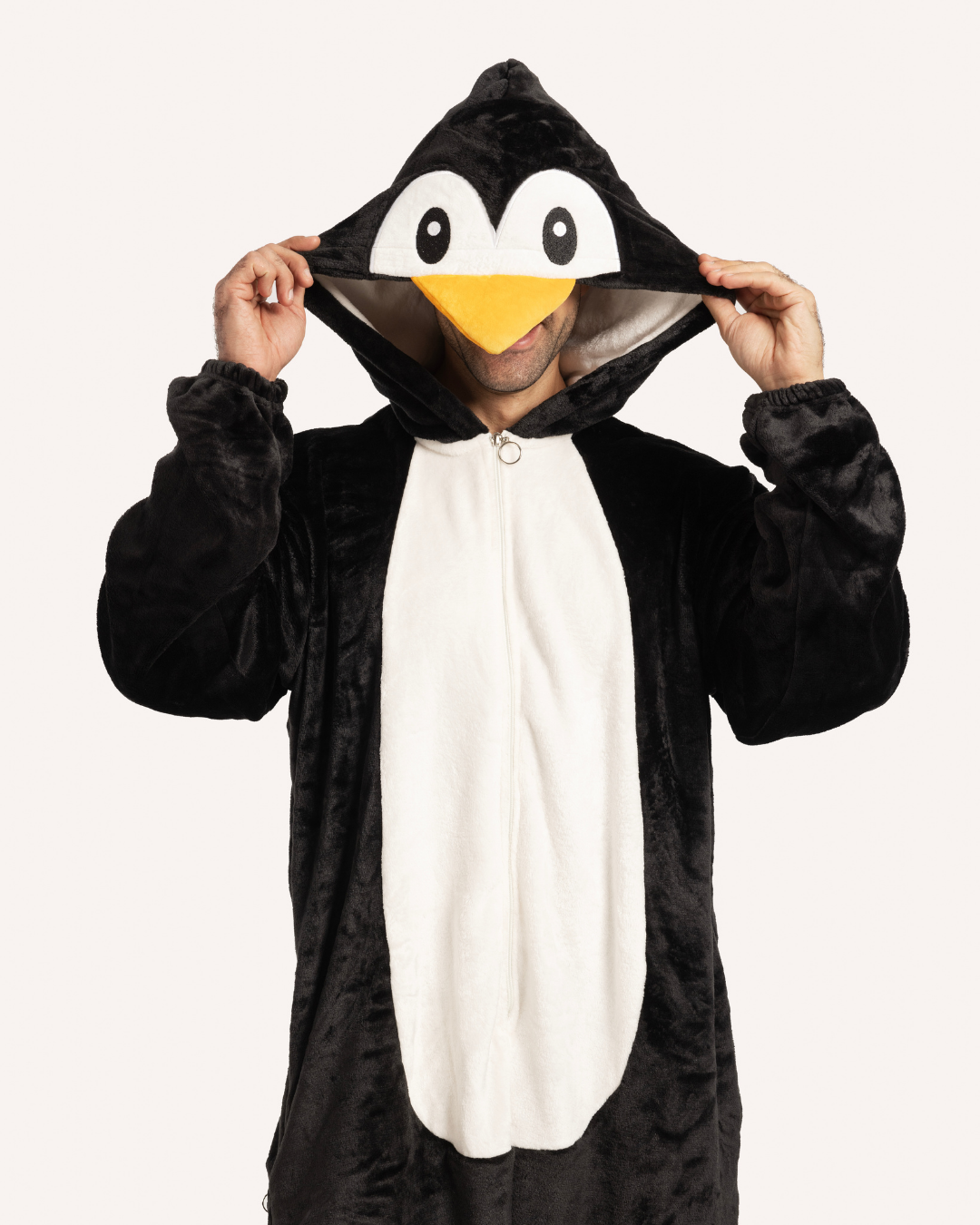 سالوبيت بطريق