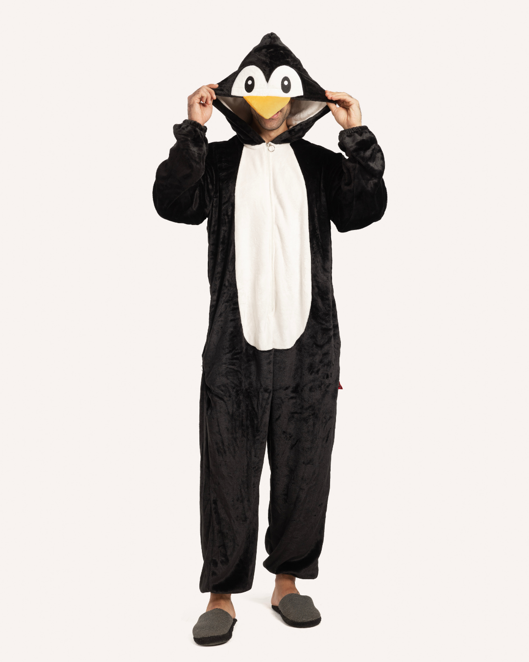 سالوبيت بطريق