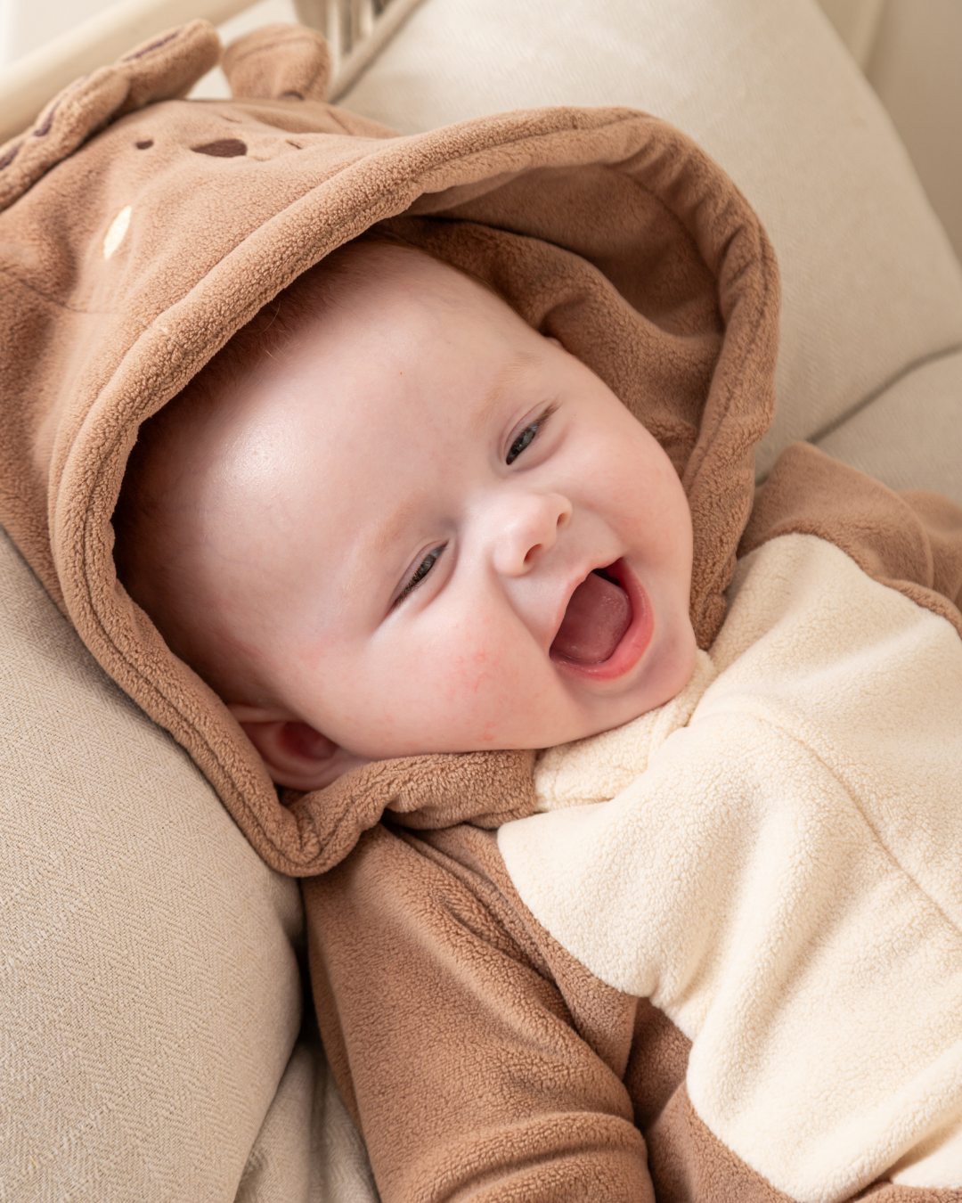 سالوبيت الخروف الصغير