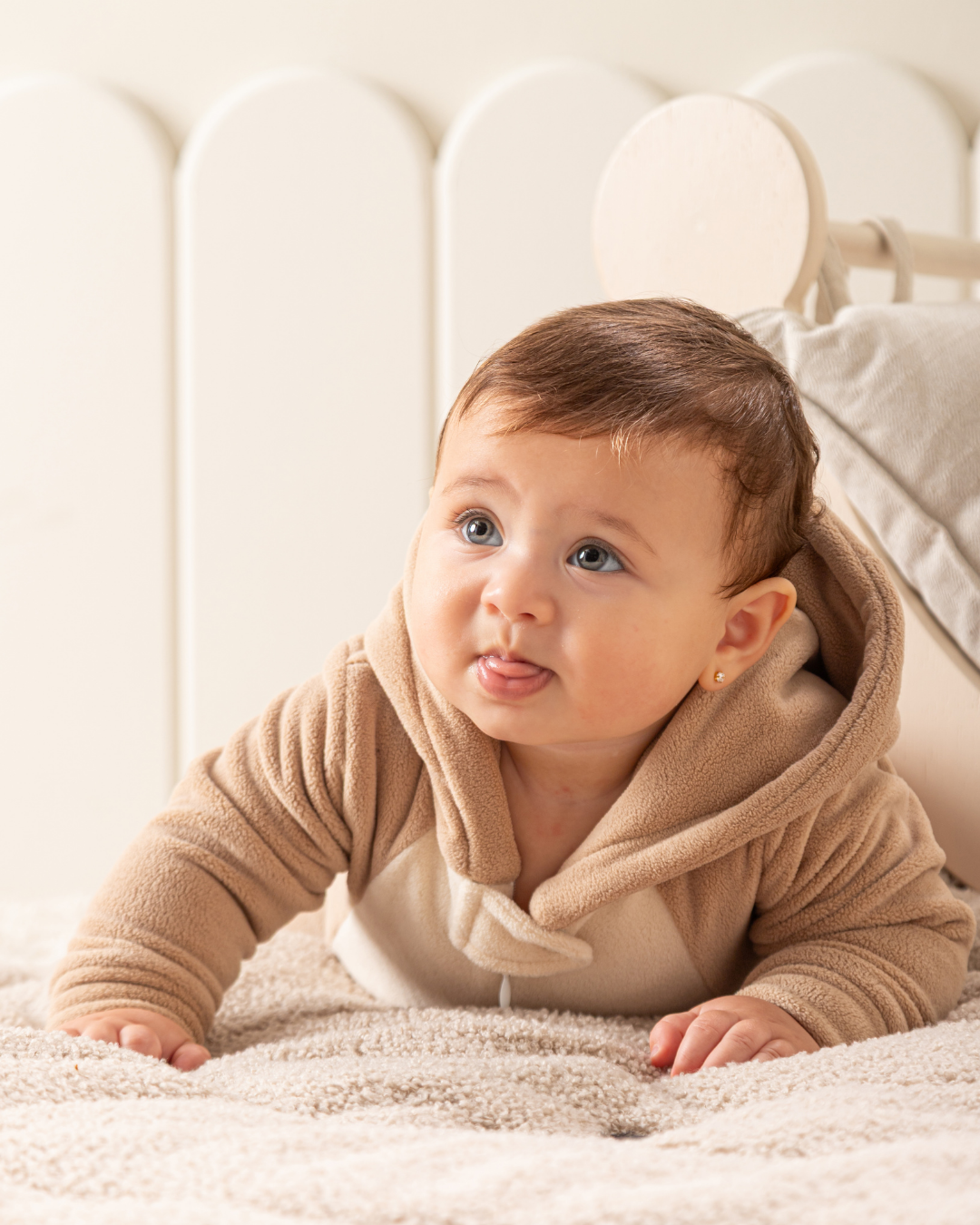 سالوبيت الخروف الصغير