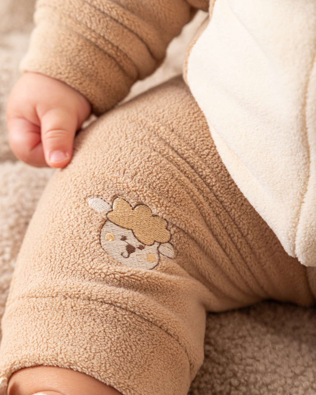 سالوبيت الخروف الصغير