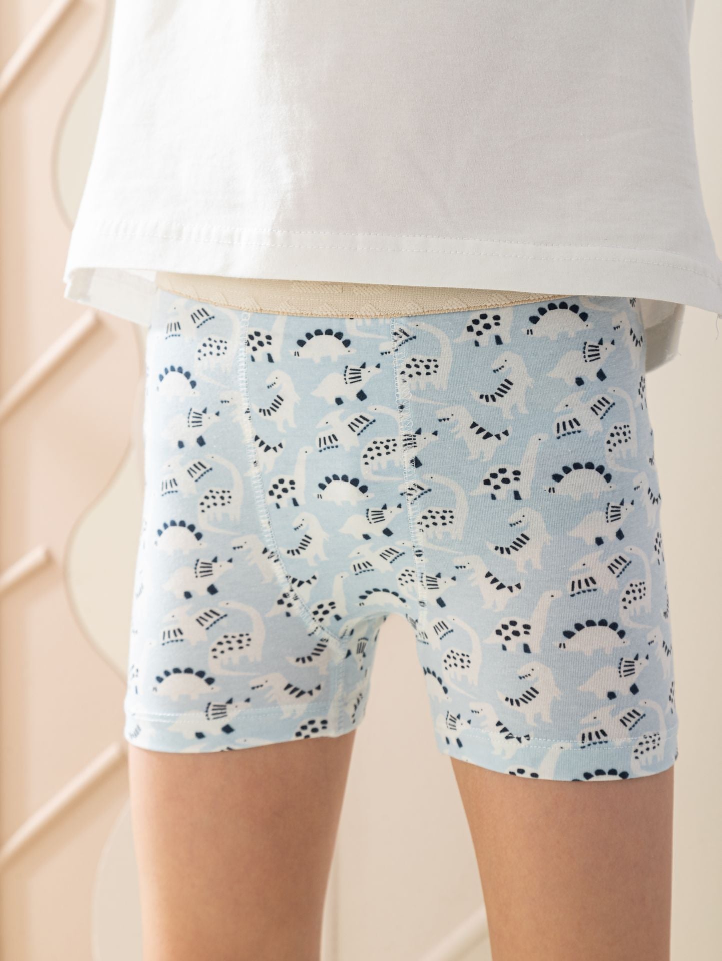 Boys Flat Elastic cute dinosaurs  بوكسر أولادي أستك عريض