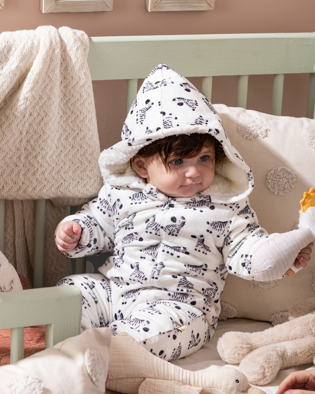 Wild Zebra سالوبيت أولادي مواليد بكابيشون