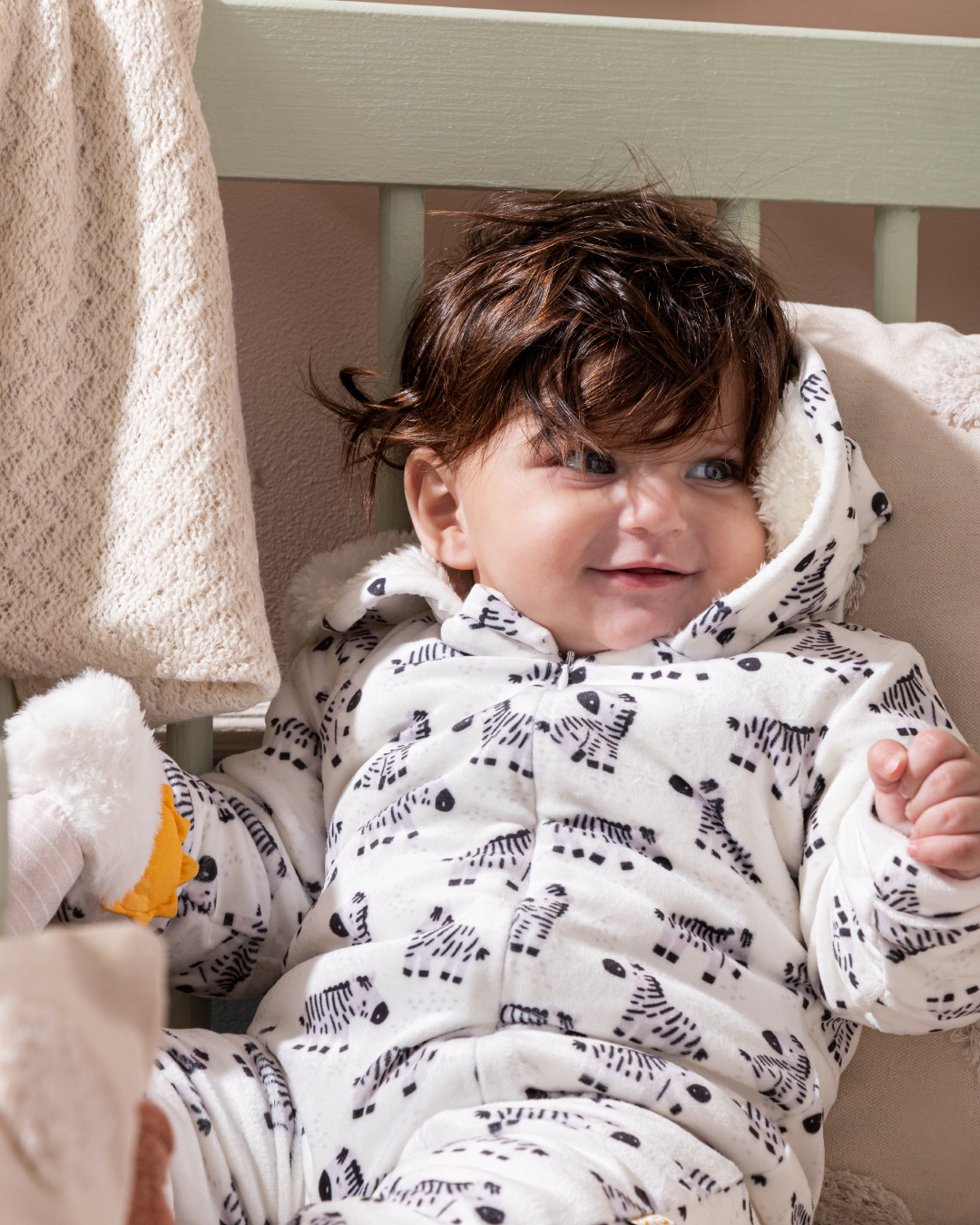 Wild Zebra سالوبيت أولادي مواليد بكابيشون