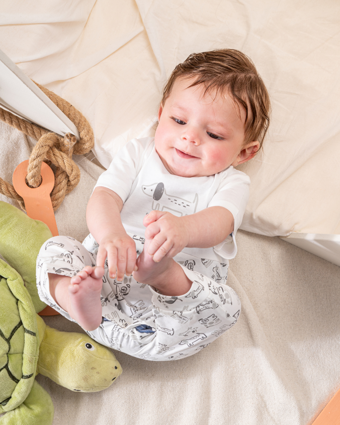 سالوبيت قطن قصّات الجراء اللطيفه