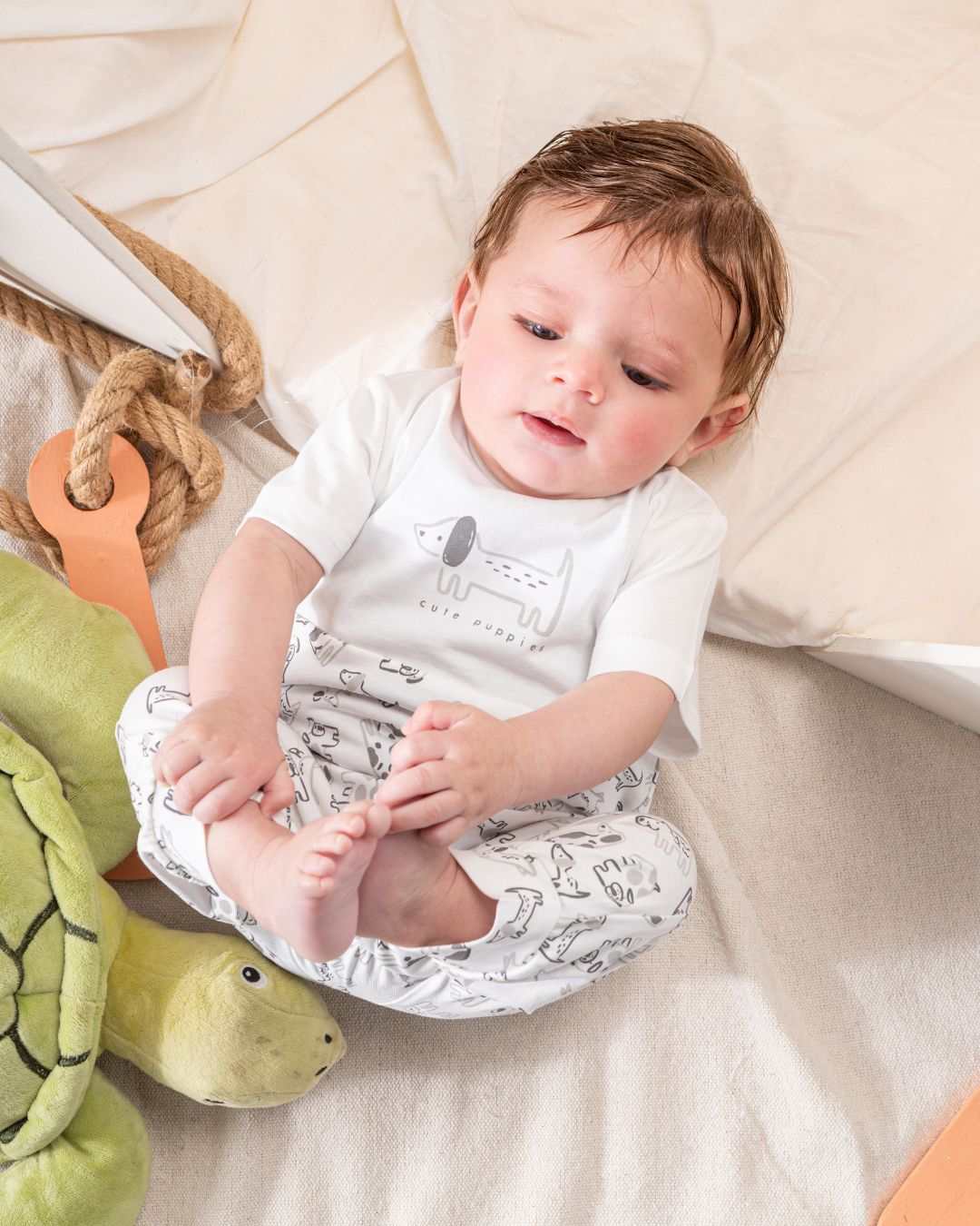 سالوبيت قطن قصّات الجراء اللطيفه