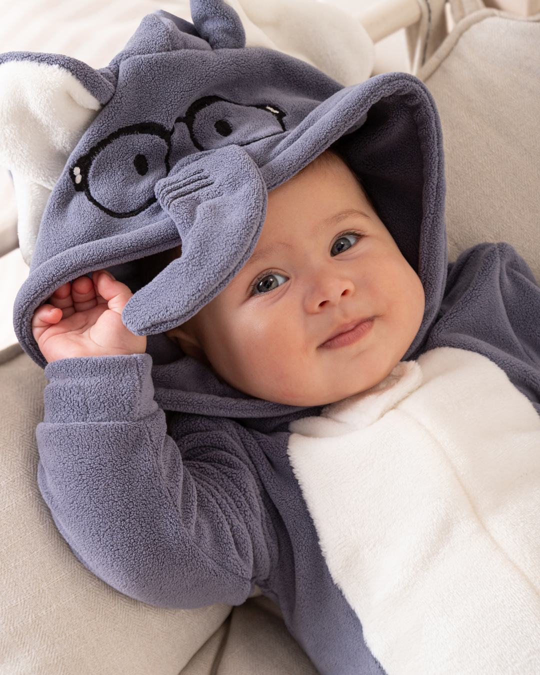 سالوبيت الفيل الصغير الذكى