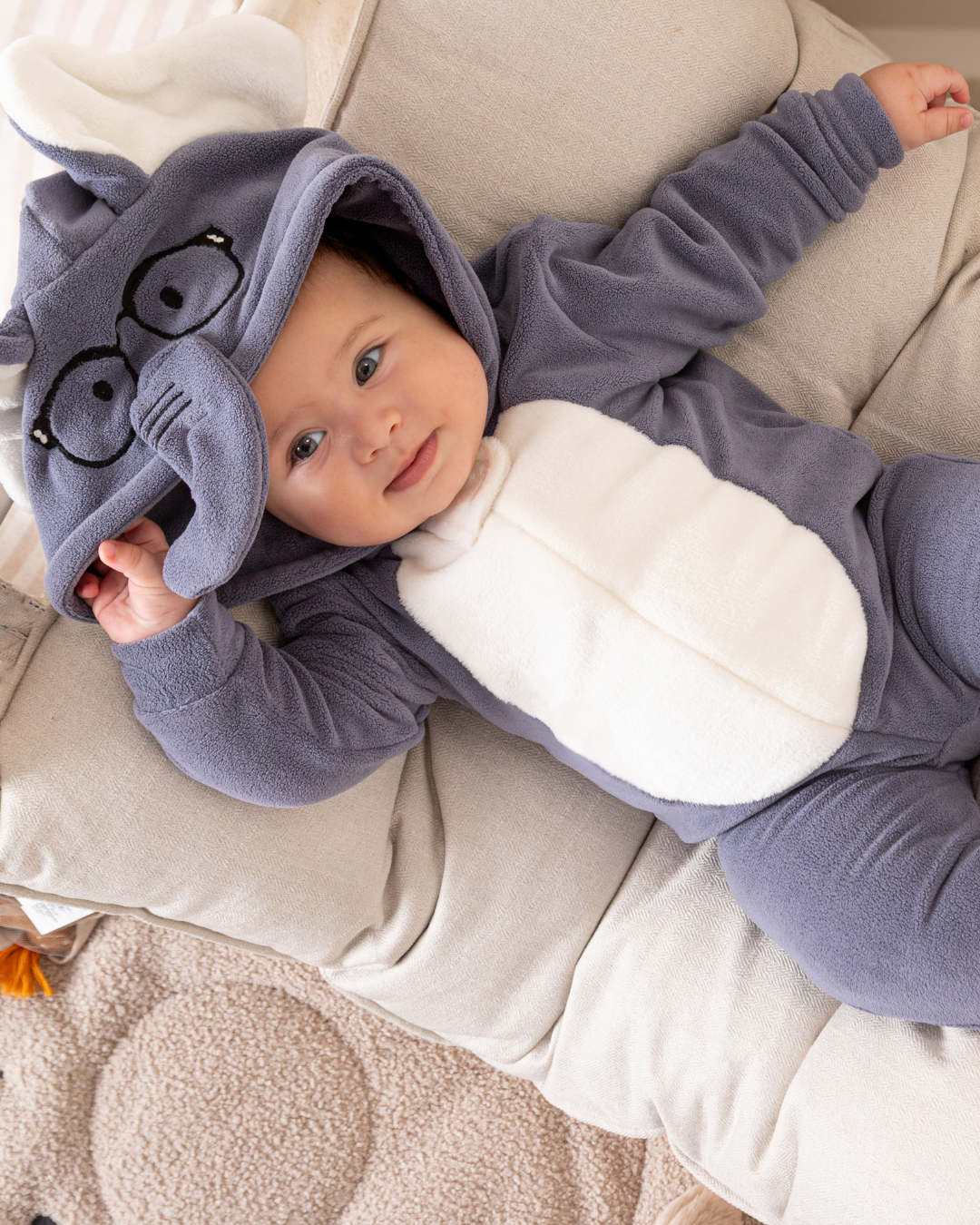 سالوبيت الفيل الصغير الذكى