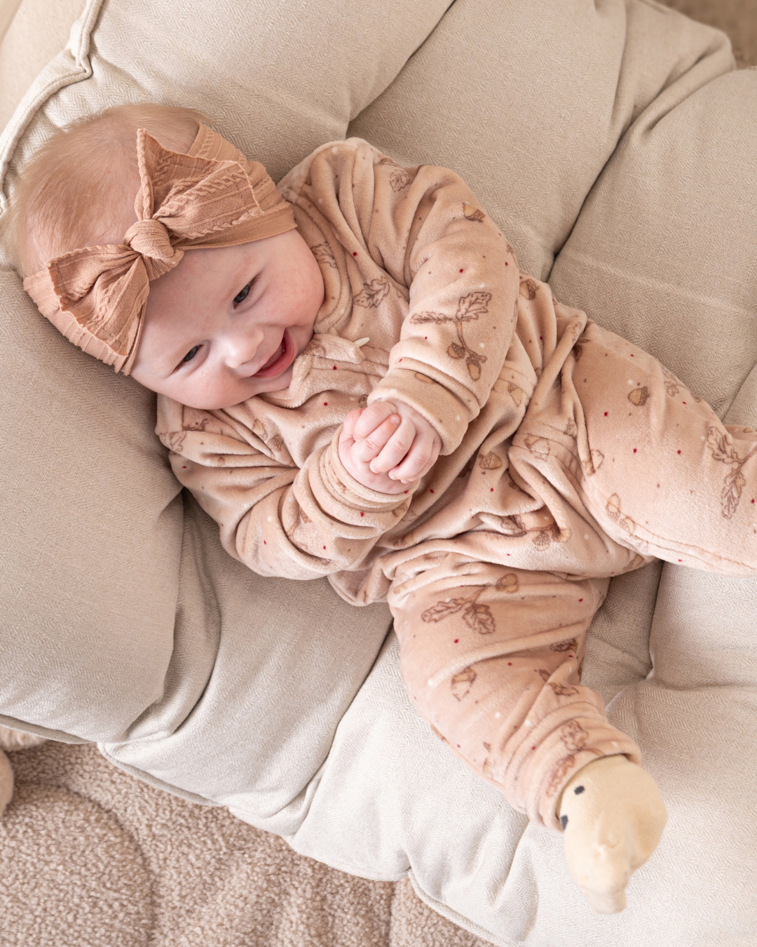 سالوبيت بندق صغير