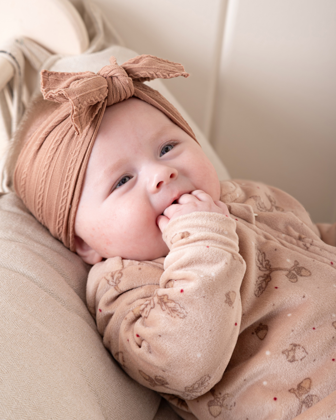 سالوبيت بندق صغير