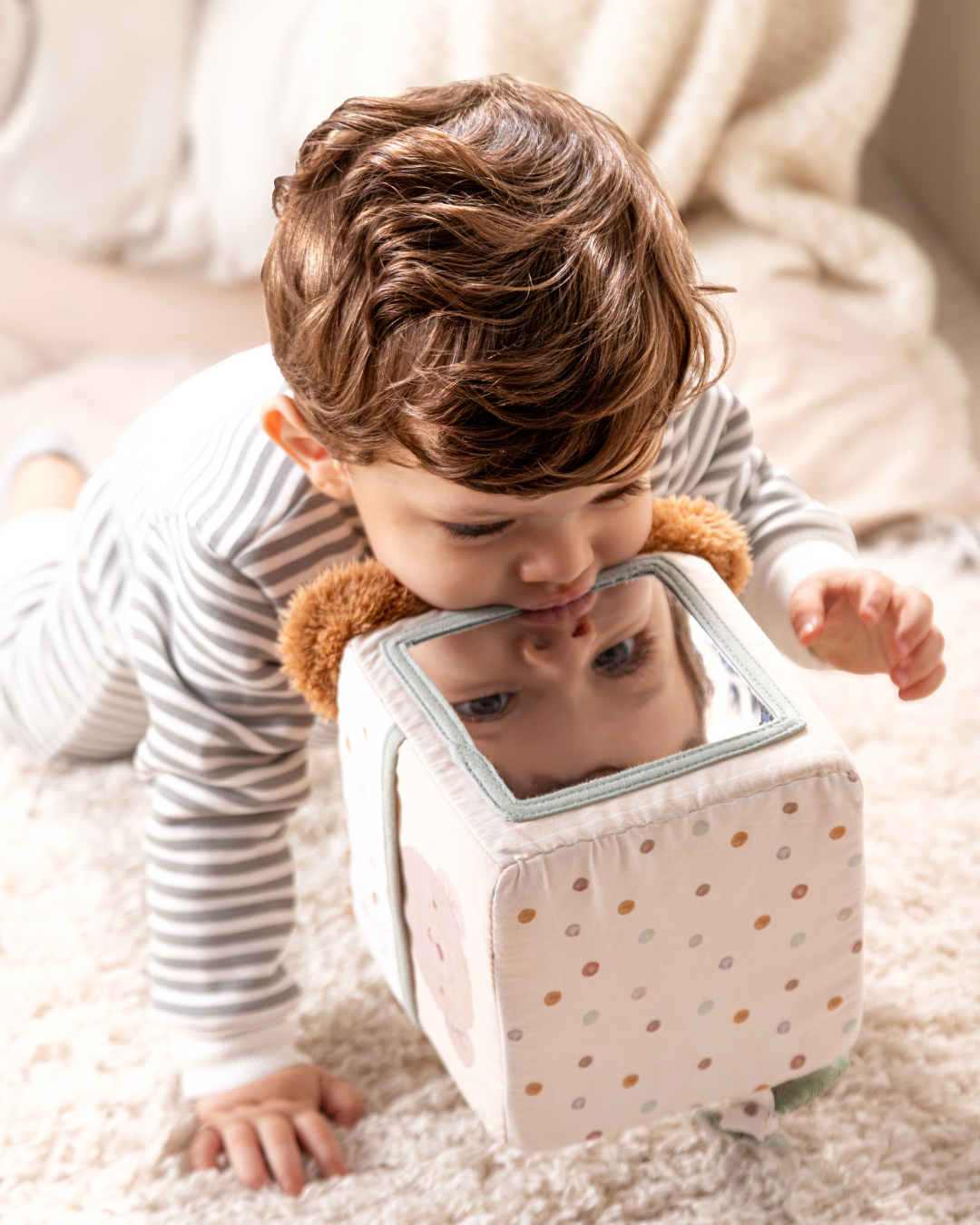 سالوبيت مخطط بطريق