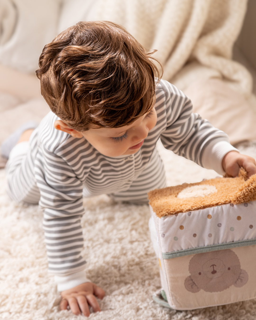 سالوبيت مخطط بطريق