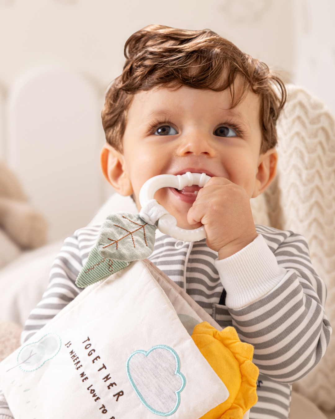 سالوبيت مخطط بطريق