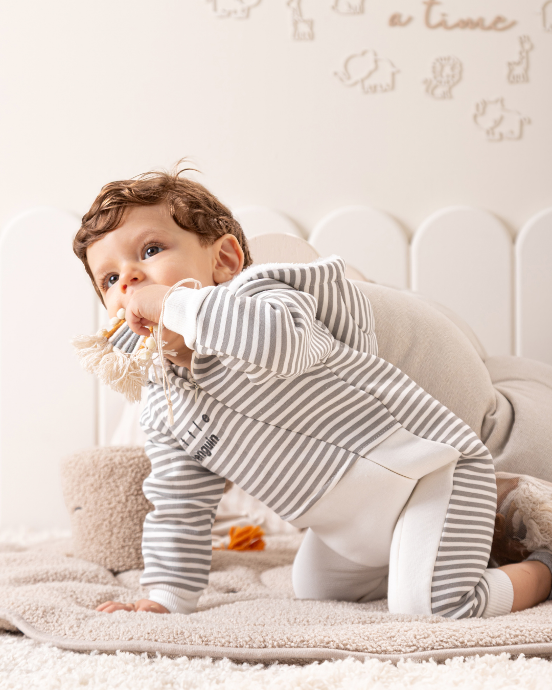 سالوبيت بطريق