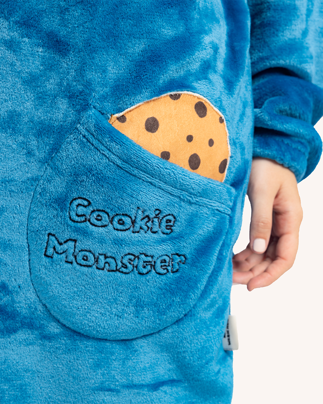 سالوبيت شخصية وحش الكعك من عالم سمسم