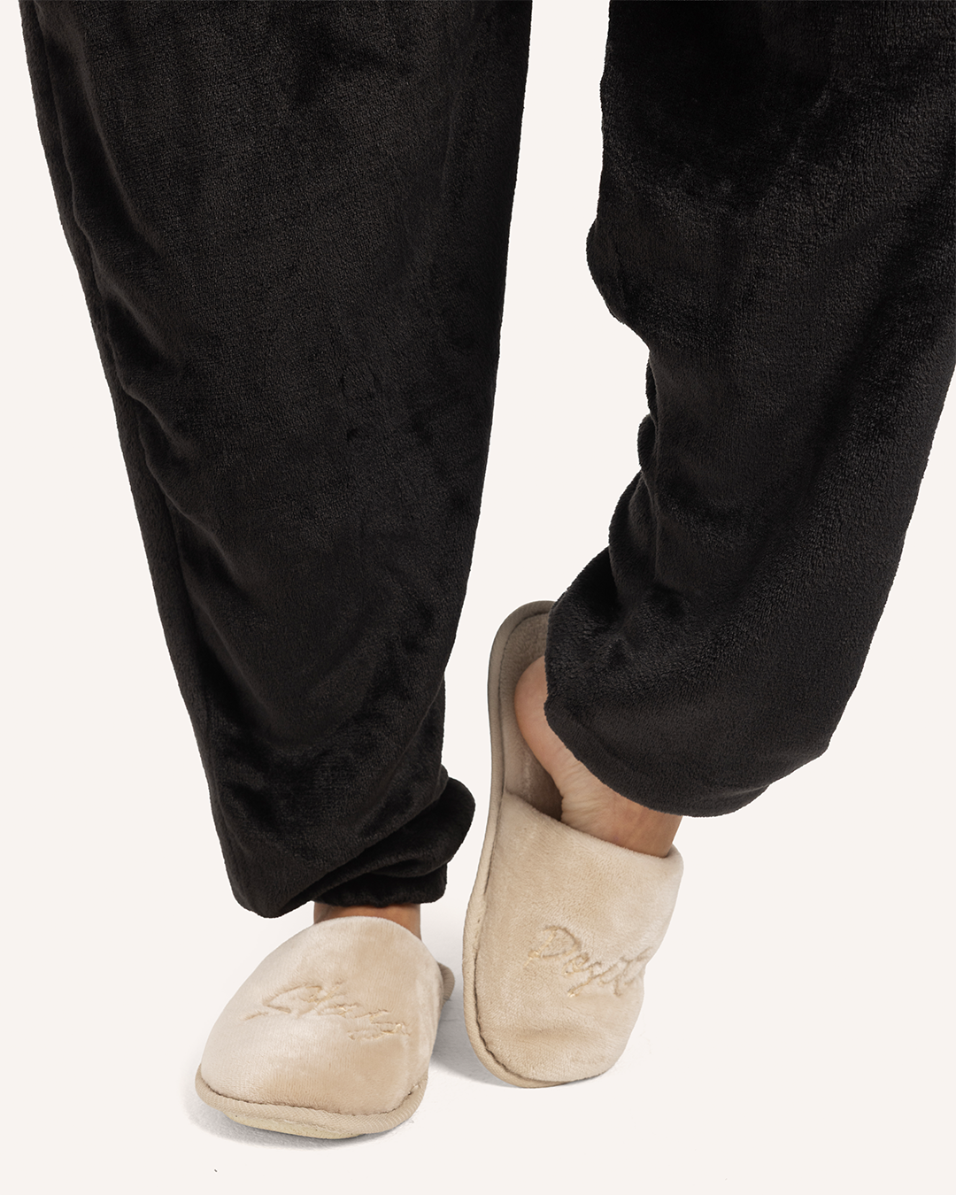 سالوبيت بطريق