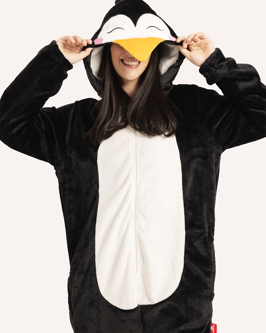 سالوبيت بطريق