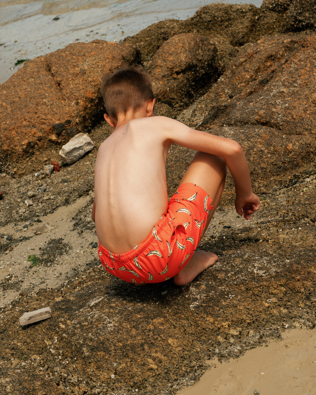 Summer Fruit Printed Swimsuit