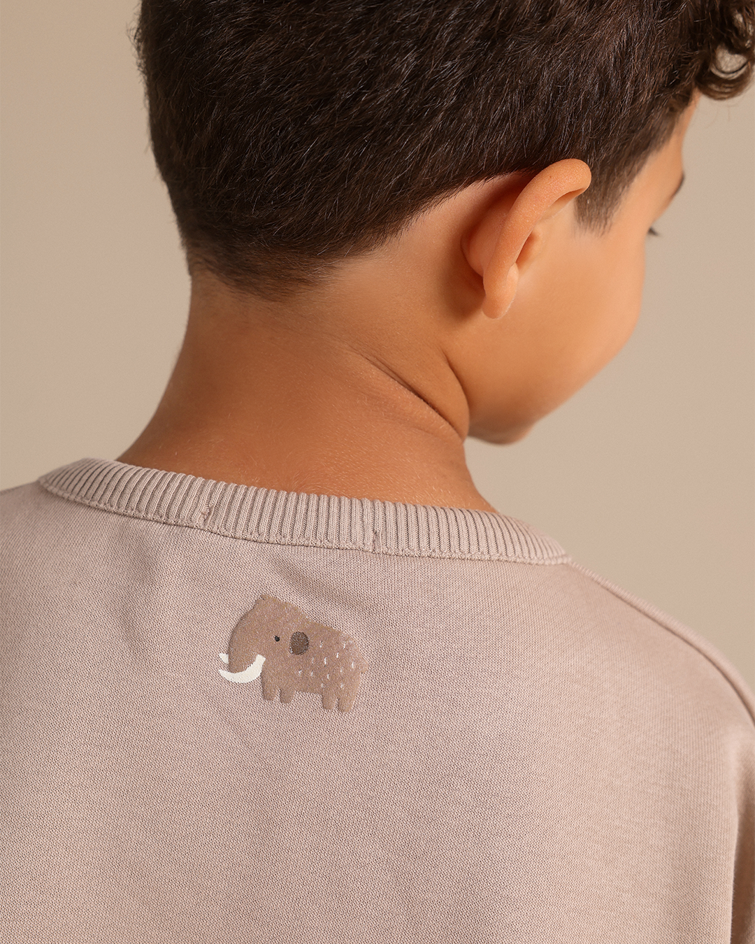Boys' winter pajamas with a cute mammoth print