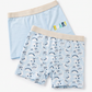 Boys Flat Elastic cute dinosaurs Boxer Briefs