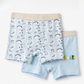 Boys Flat Elastic cute dinosaurs Boxer Briefs