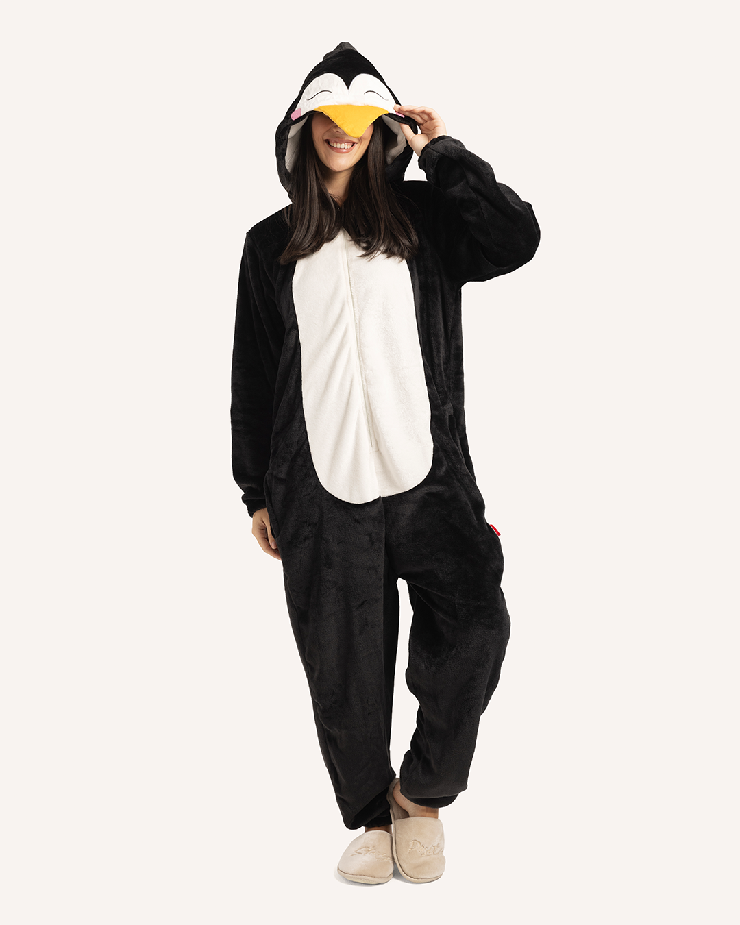 سالوبيت بطريق