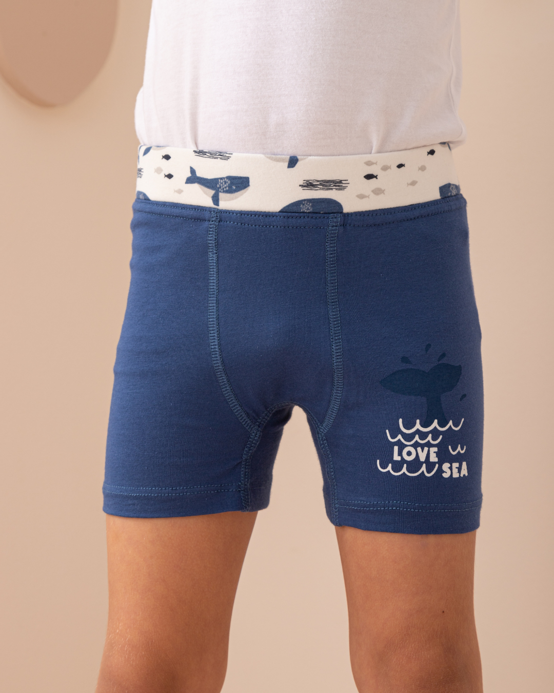 Boys Flat Elastic Whales بوكسر أولادي أستك عريض