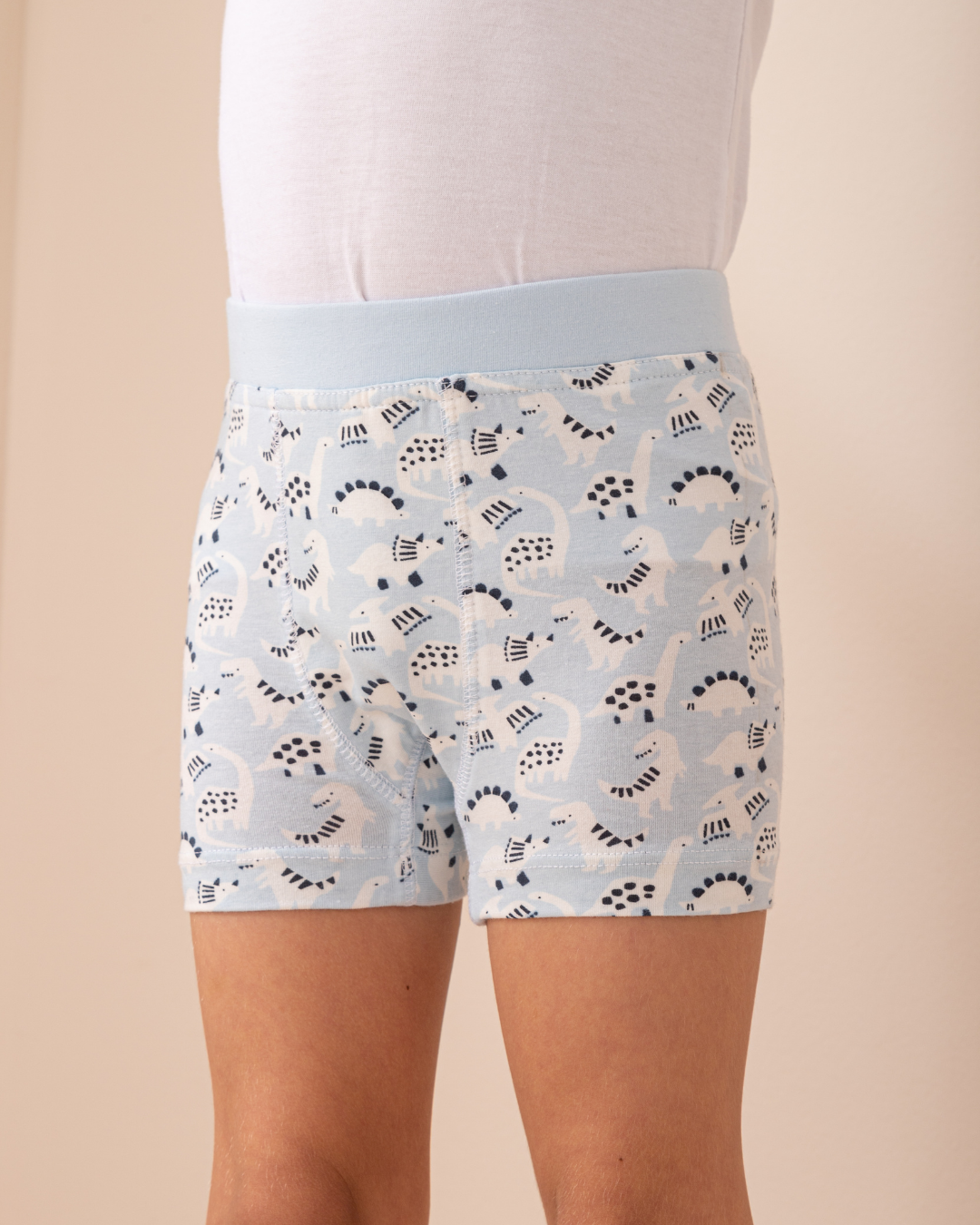 Dinosaurs Boxer My Boys