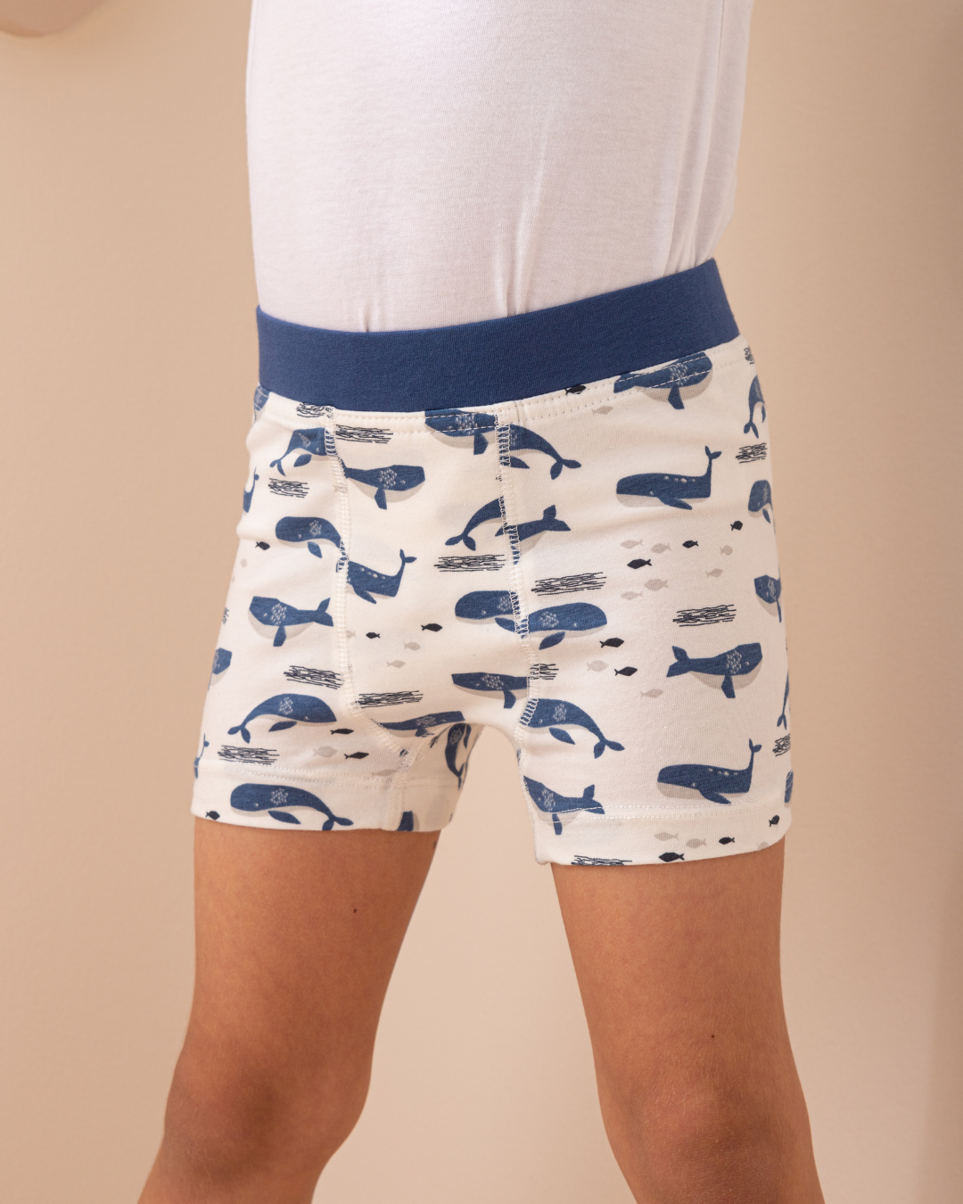 Boys Flat Elastic Whales بوكسر أولادي أستك عريض