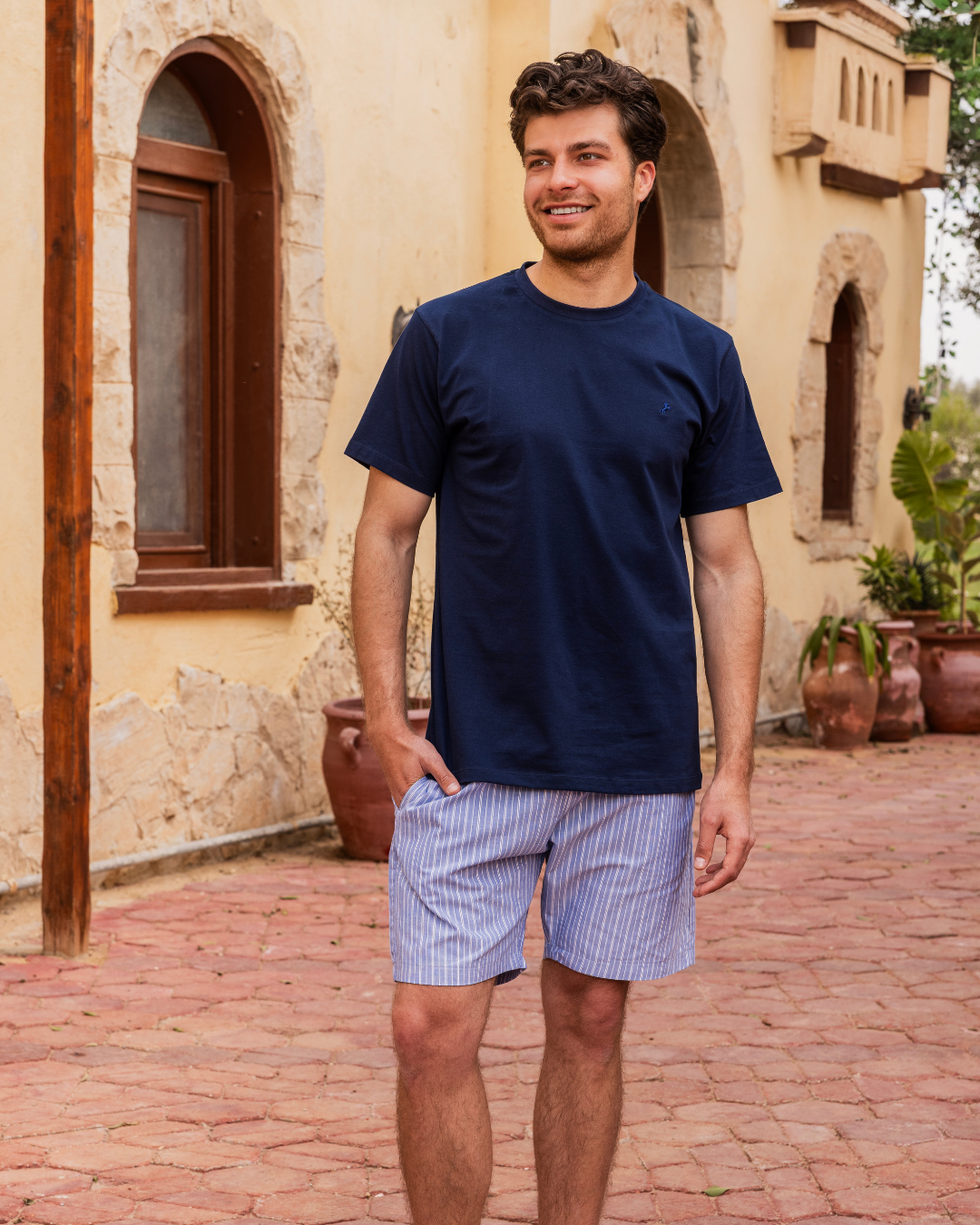 Men's half-sleeve pajamas and horse embroidery shorts, striped shorts