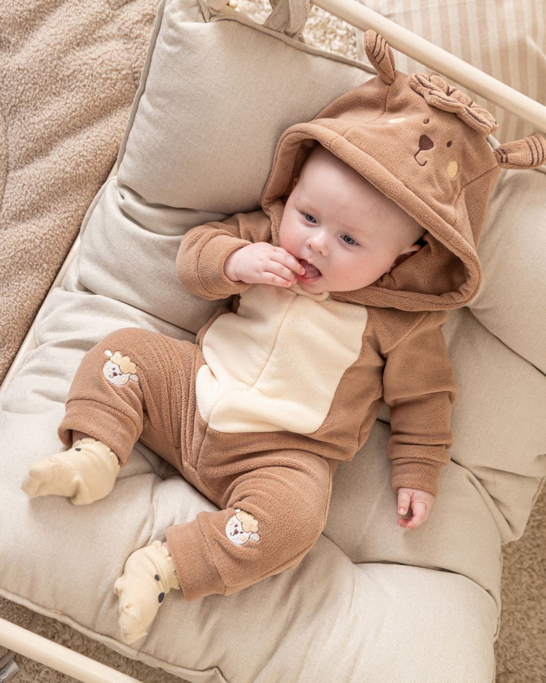 سالوبيت الخروف الصغير