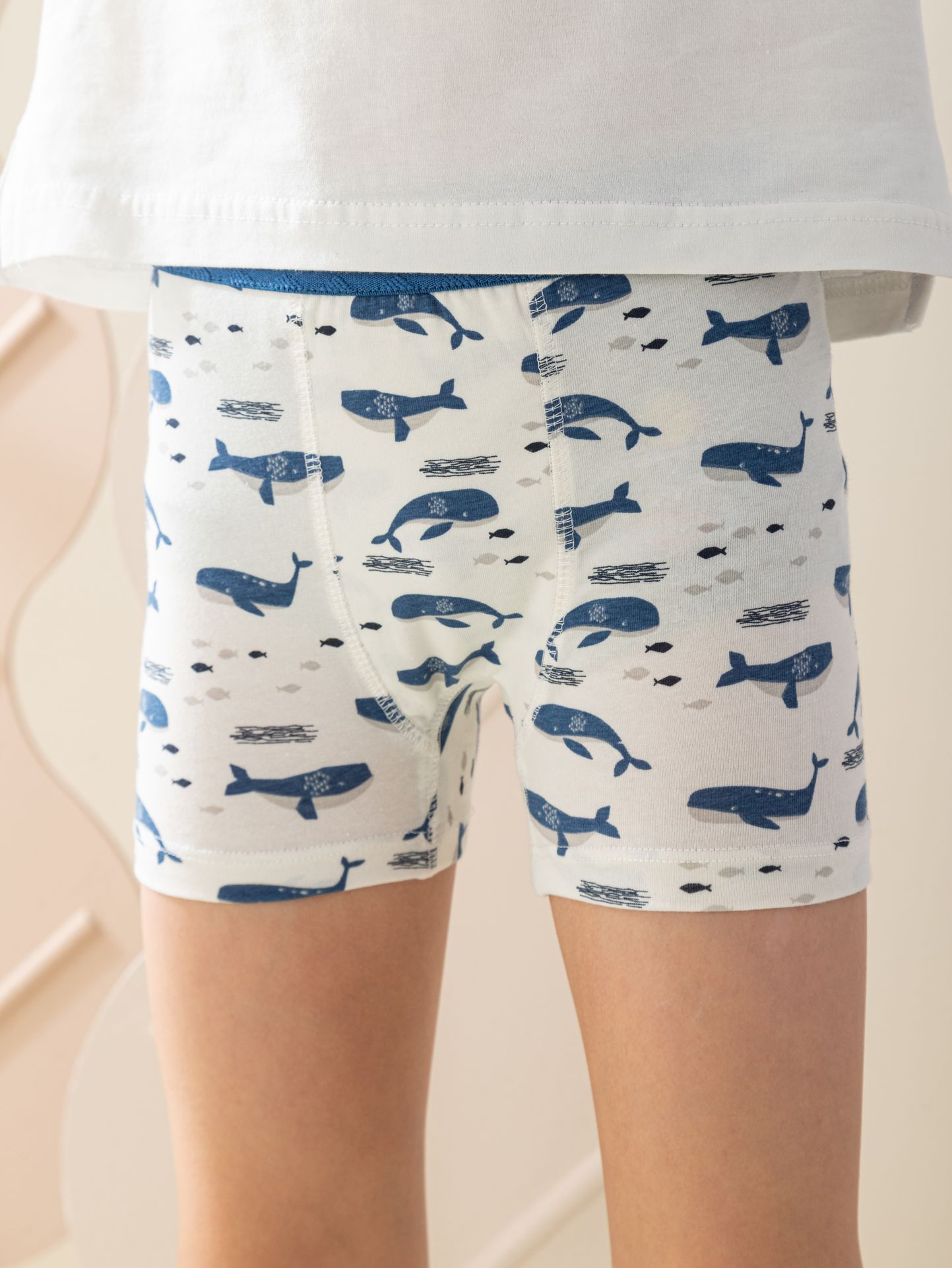 Blue Whales بوكسر أولادي