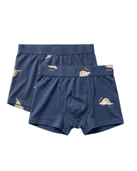 Boys' Boxer with Naughty Dinosaur