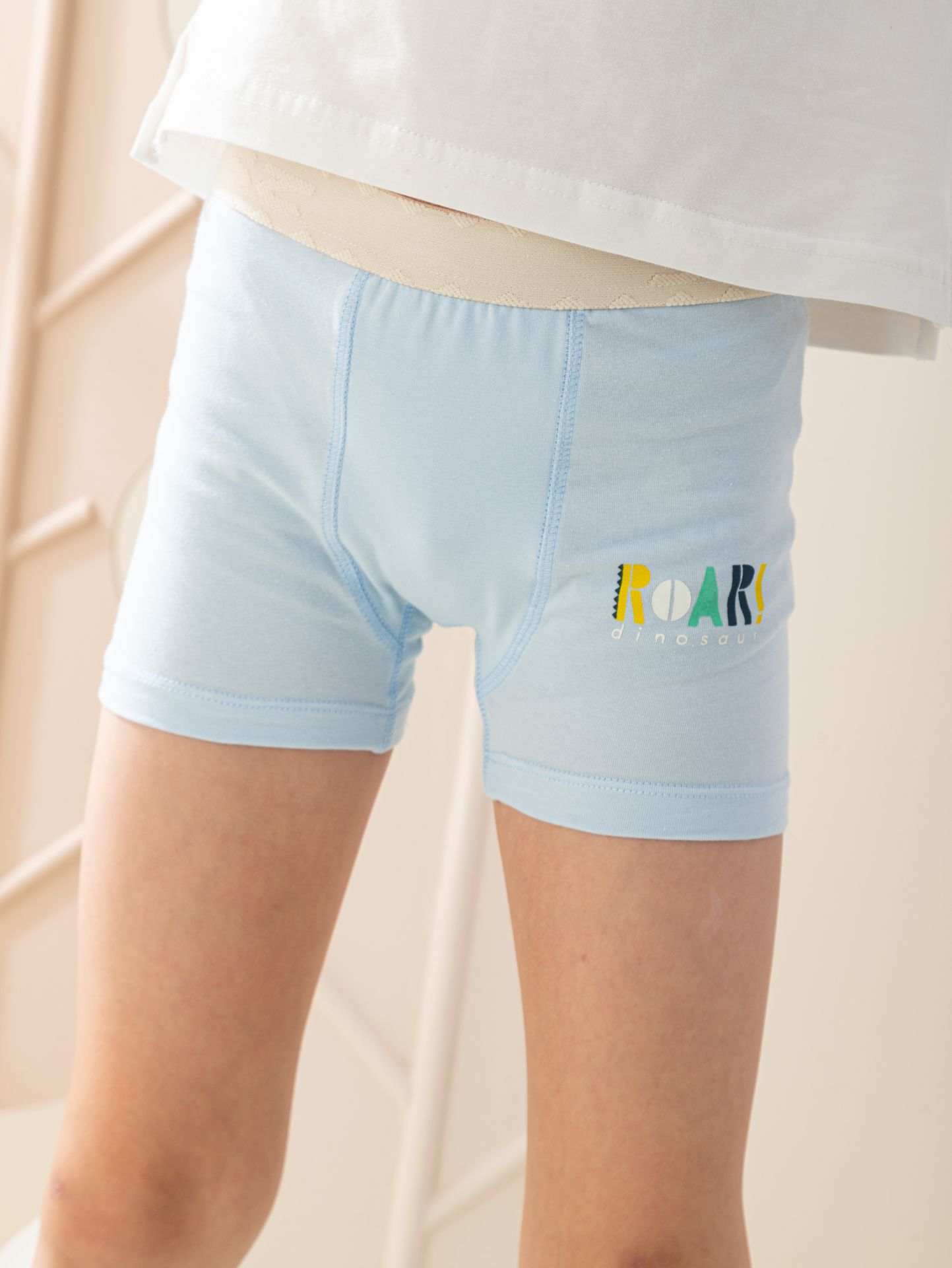 Boys Flat Elastic cute dinosaurs  بوكسر أولادي أستك عريض