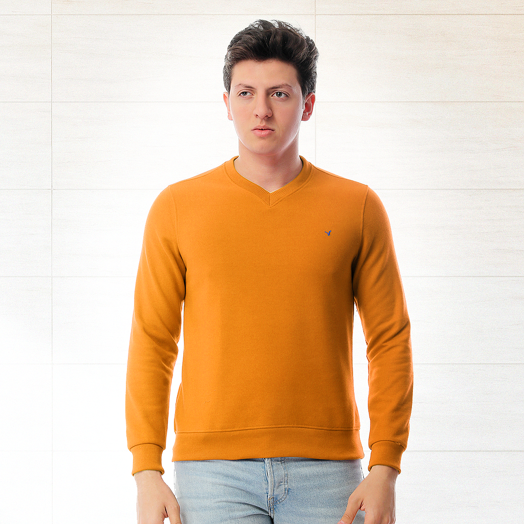 Plain V-cut sweatshirt