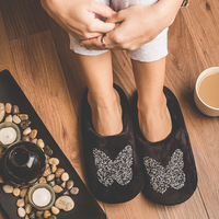 Butterfly slipper