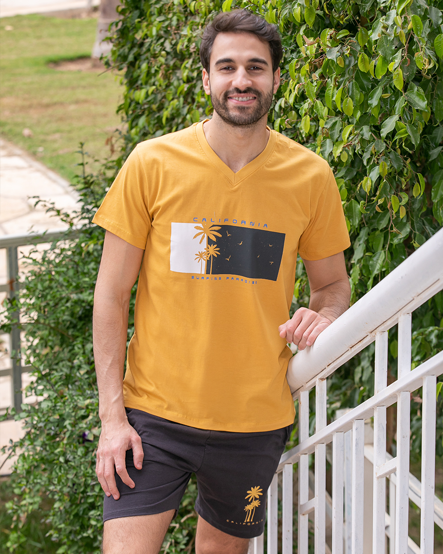 Half palm sleeve short V pajamas for men