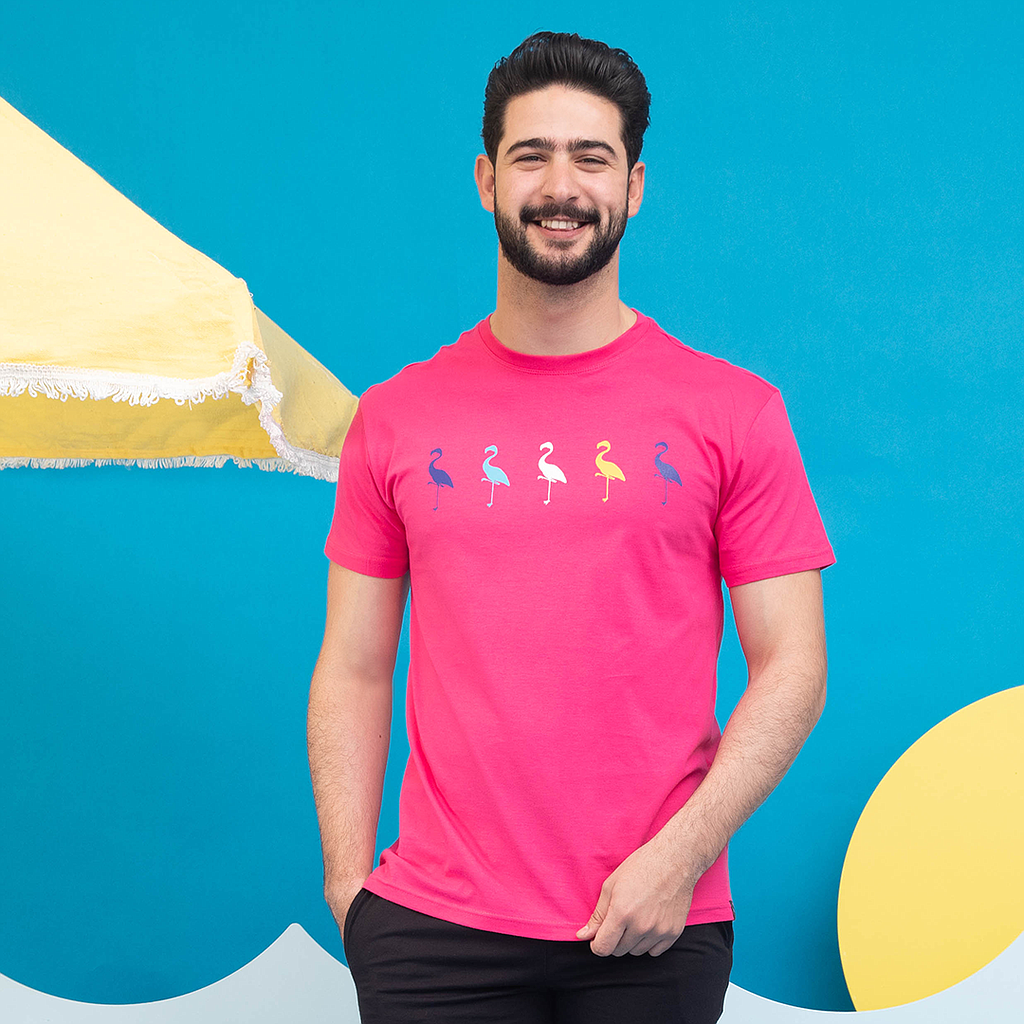 5 Flamingo T-shirt