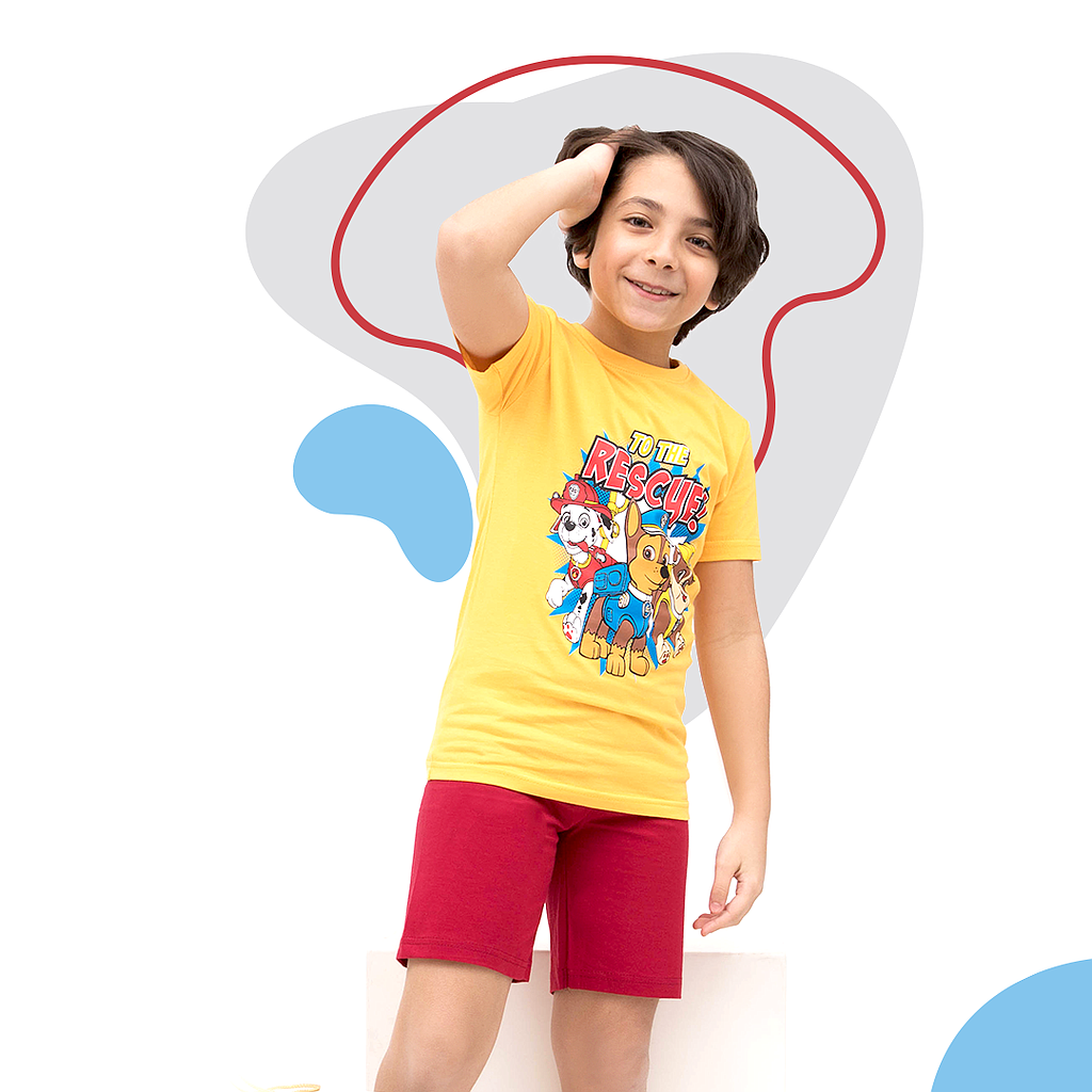 DS -TO The Rescue كلاب