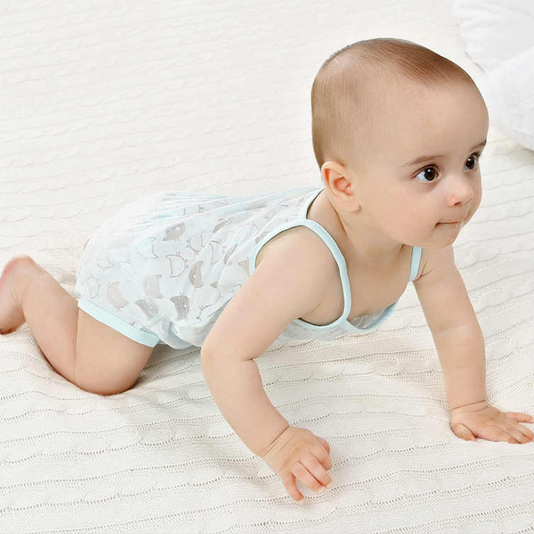 سالوبيت بيبي